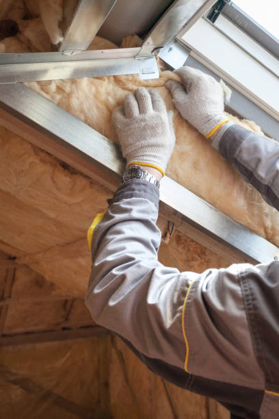 Best Specialized Insulation Services in Jones, OK
